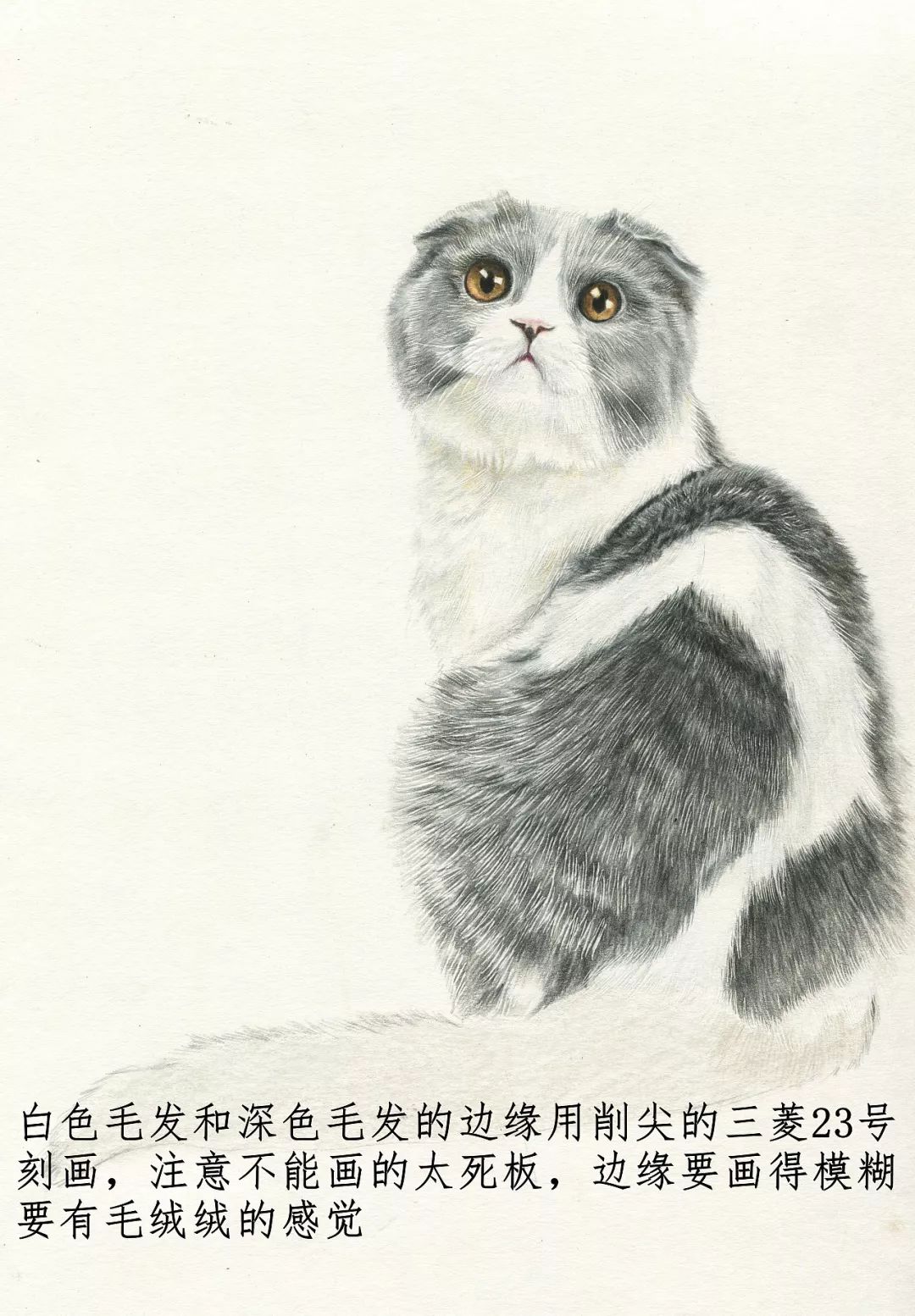 素描动物最全的收集,精微素描动物临摹高清大图