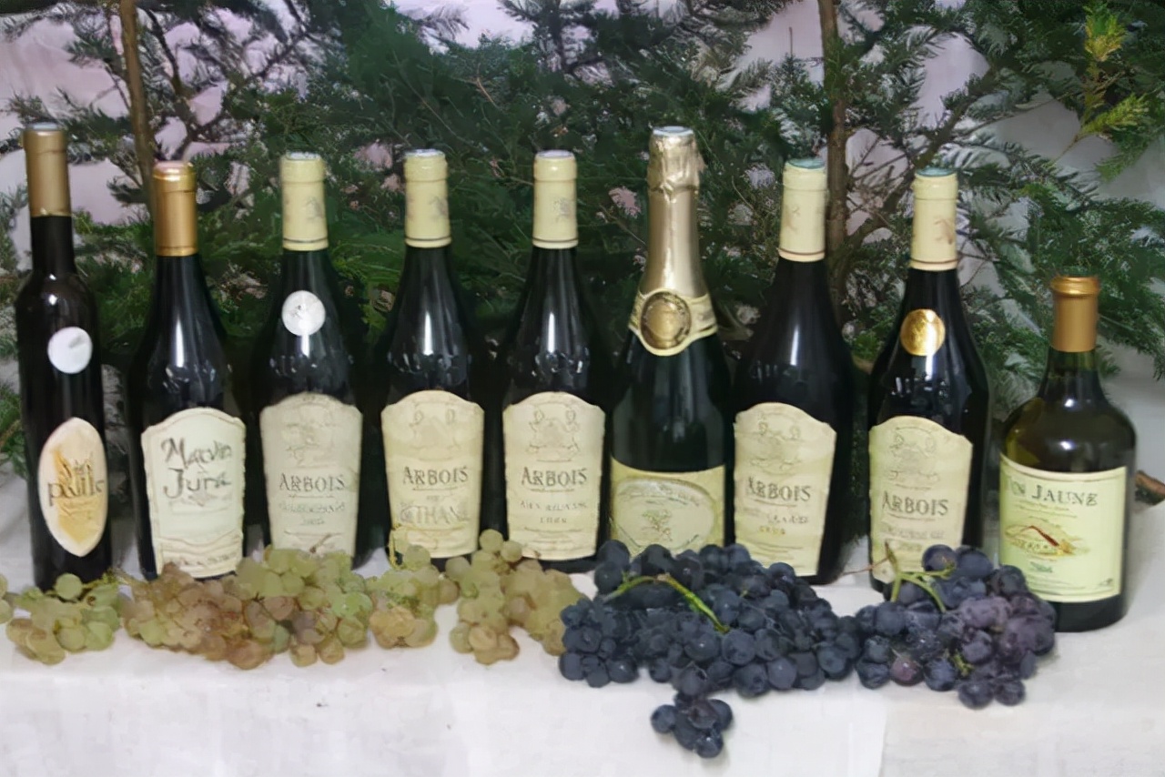 葡萄酒醒酒指南值得收藏,五分钟葡萄酒知识讲解