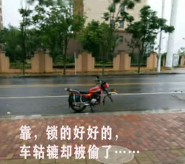 厕所拉屎被人把手机抢走了！你会怎么做？