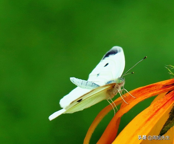 盛京3天深度自驾游好去处推荐,盛京游记