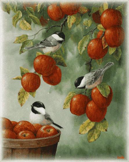 人生哲理图片带字唯美,文字动态图片大全唯美