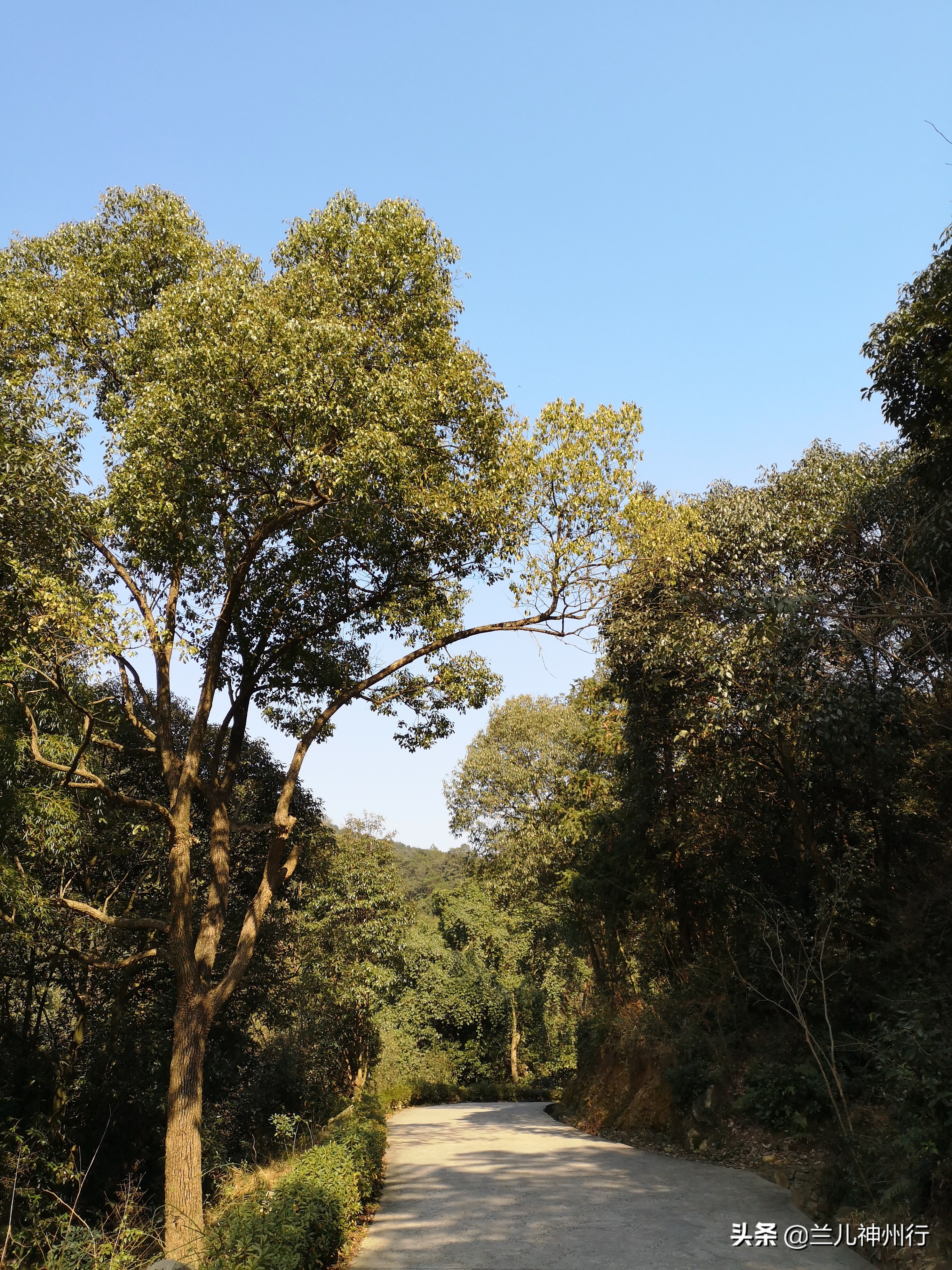浙东小九寨周边有什么风景区吗,浙东小九寨自驾
