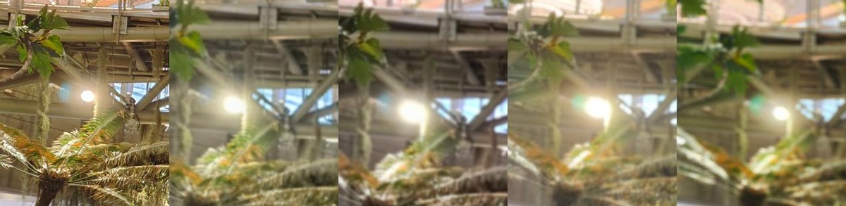 iphone13能换啥有意思的手机,iphone13哪些好用的功能