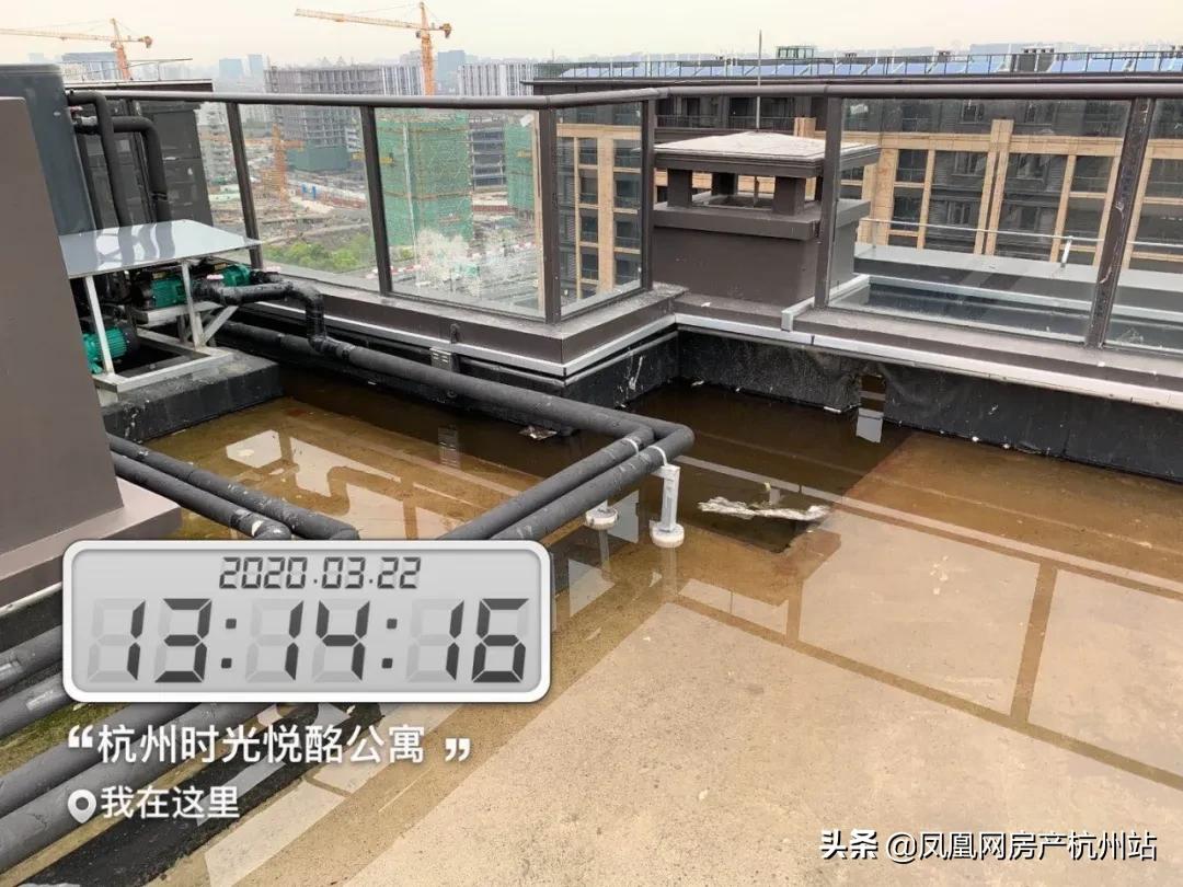 新天地业主的午后时光,新天地金色时光有活动吗