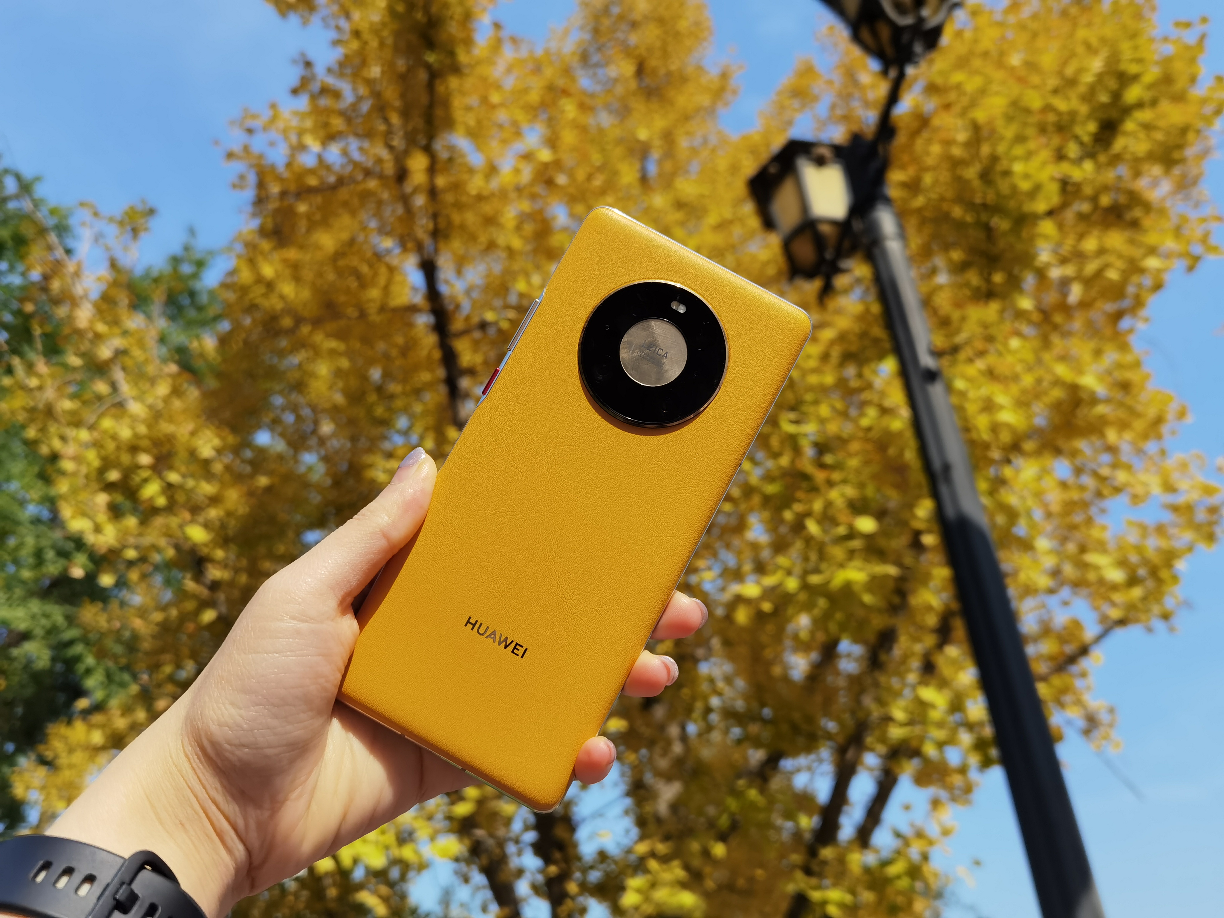 一起感受下华为mate40pro的压迫感,华为mate40pro秋日胡杨为什么贵