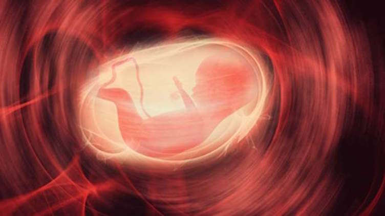 胎停育是很常见的事吗,胎停育为什么会越来越多