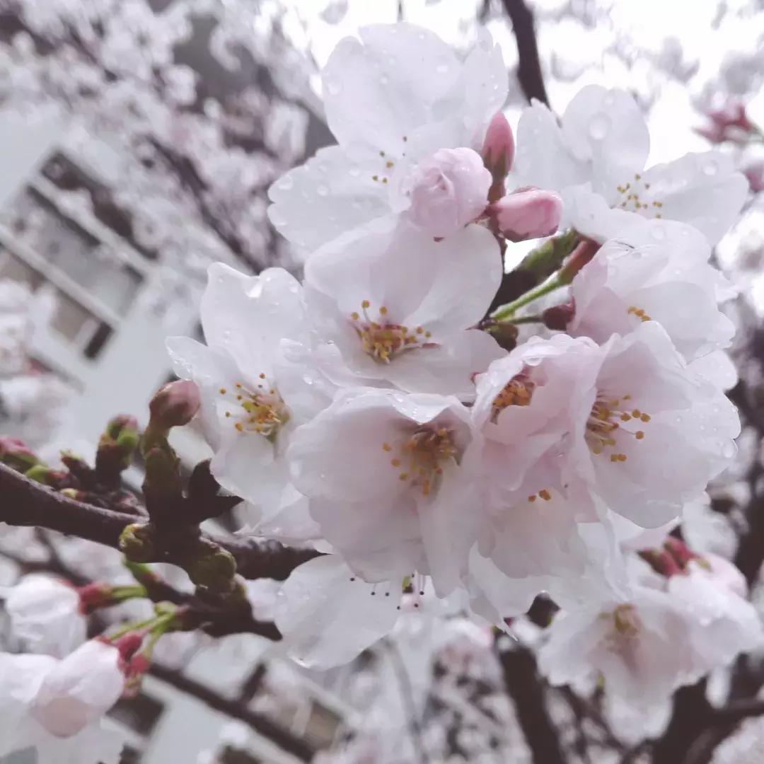 这样的青春，混迹过黄家湖大学城的人都会懂