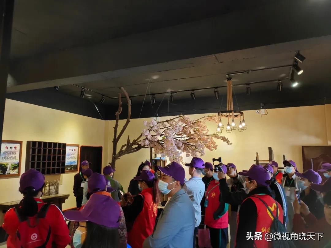 带你看看信阳的茶山美景,信阳浉河茶山直播