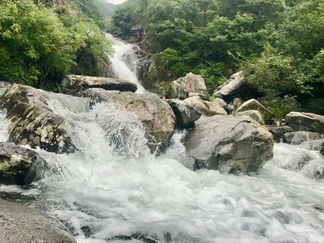 全国林草生物多样性保护成就展,林业生物多样性保护