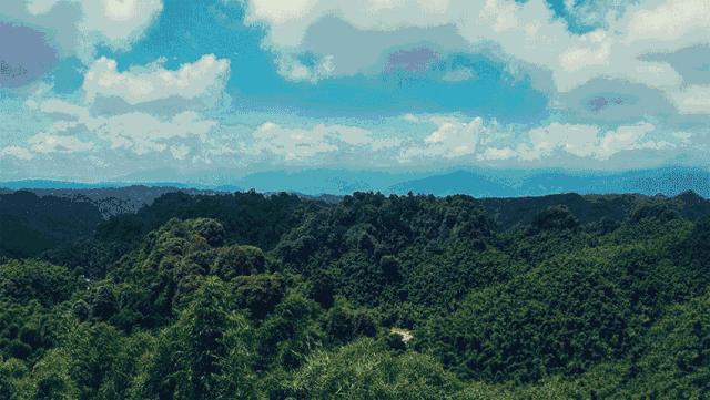 四川凉爽的十大避暑地,四川避暑康养最佳地是哪里