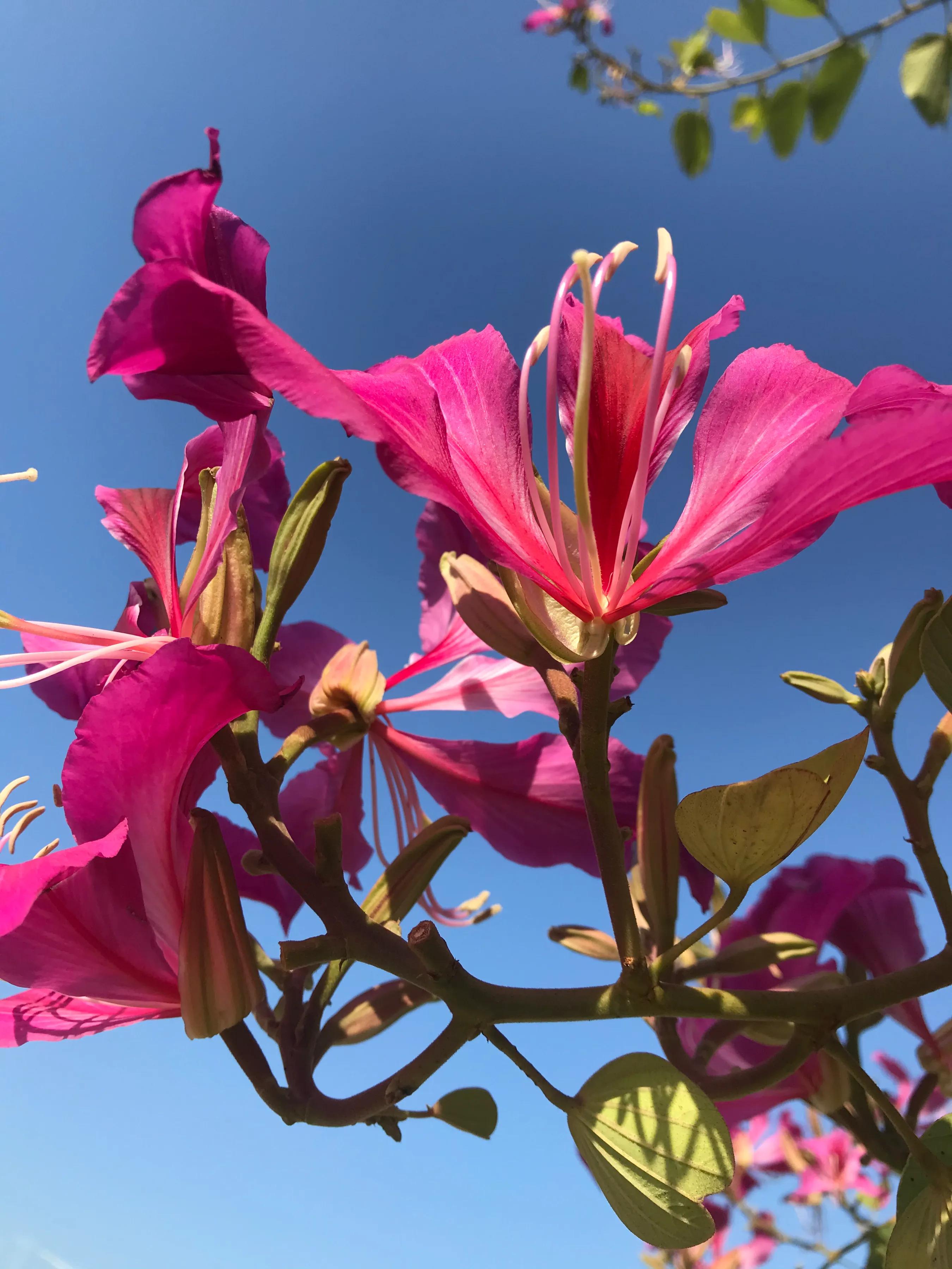 当陷入两难的境地该如何抉择,当陷入两难抉择的时候该怎么办