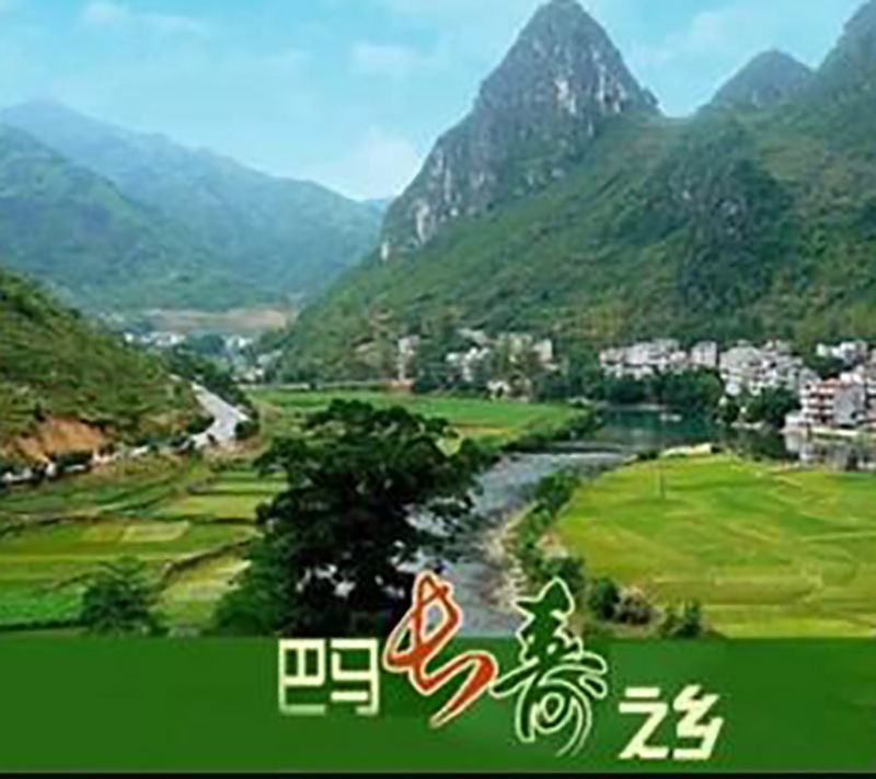 河北唐山大姐,农民养猪带领村民致富