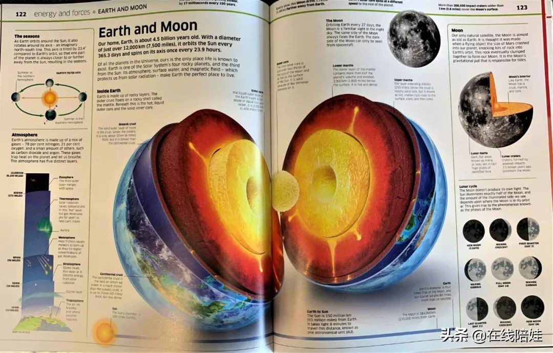 dk知识大百科全套,dk知识大百科书金银版