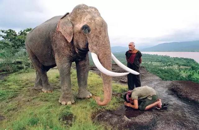 托尼贾对金星的评价,托尼贾金星的电影叫什么