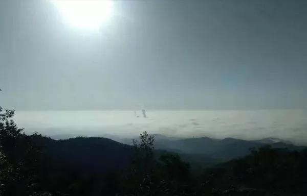 淮口好玩,金堂淮口枇杷