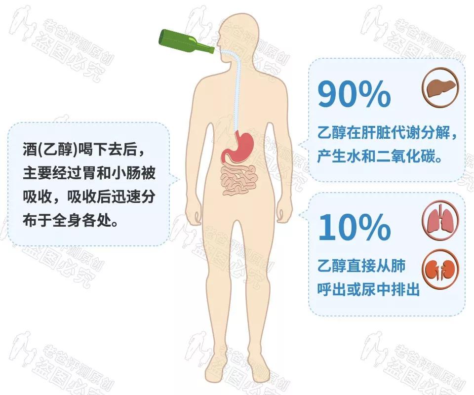 喝酒脸红属于醉了吗,喝酒脸红是酒量好吗