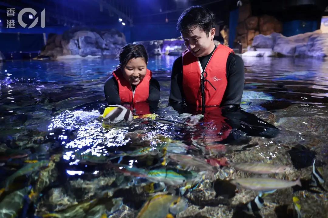 迷惑！258元只能参观高铁，香港本地游推出这些新玩法