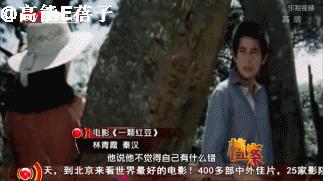 琼瑶林青霞秦汉电视剧大全,林青霞秦汉琼瑶剧有哪些