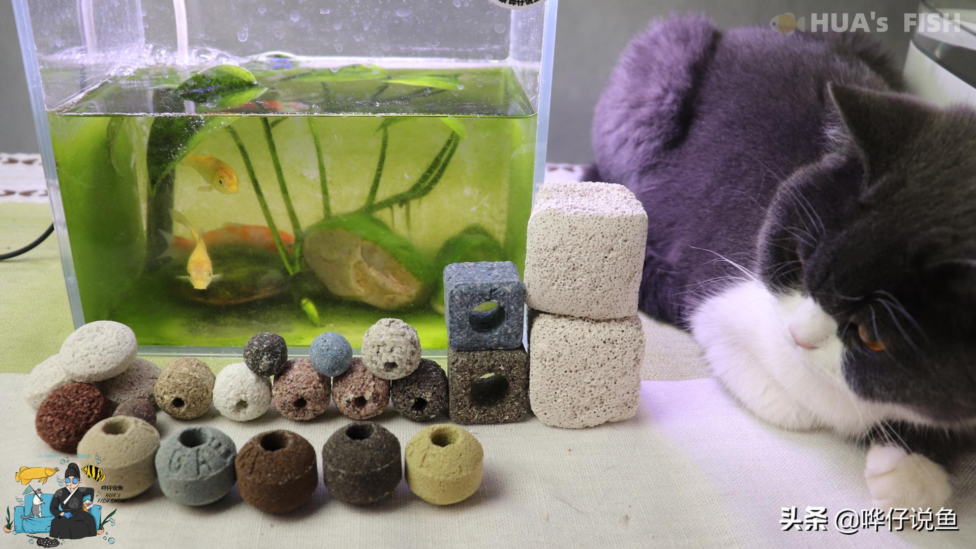 鱼缸滤材要细菌屋好还是十合一好,鱼缸细菌屋天然滤材自己动手制作