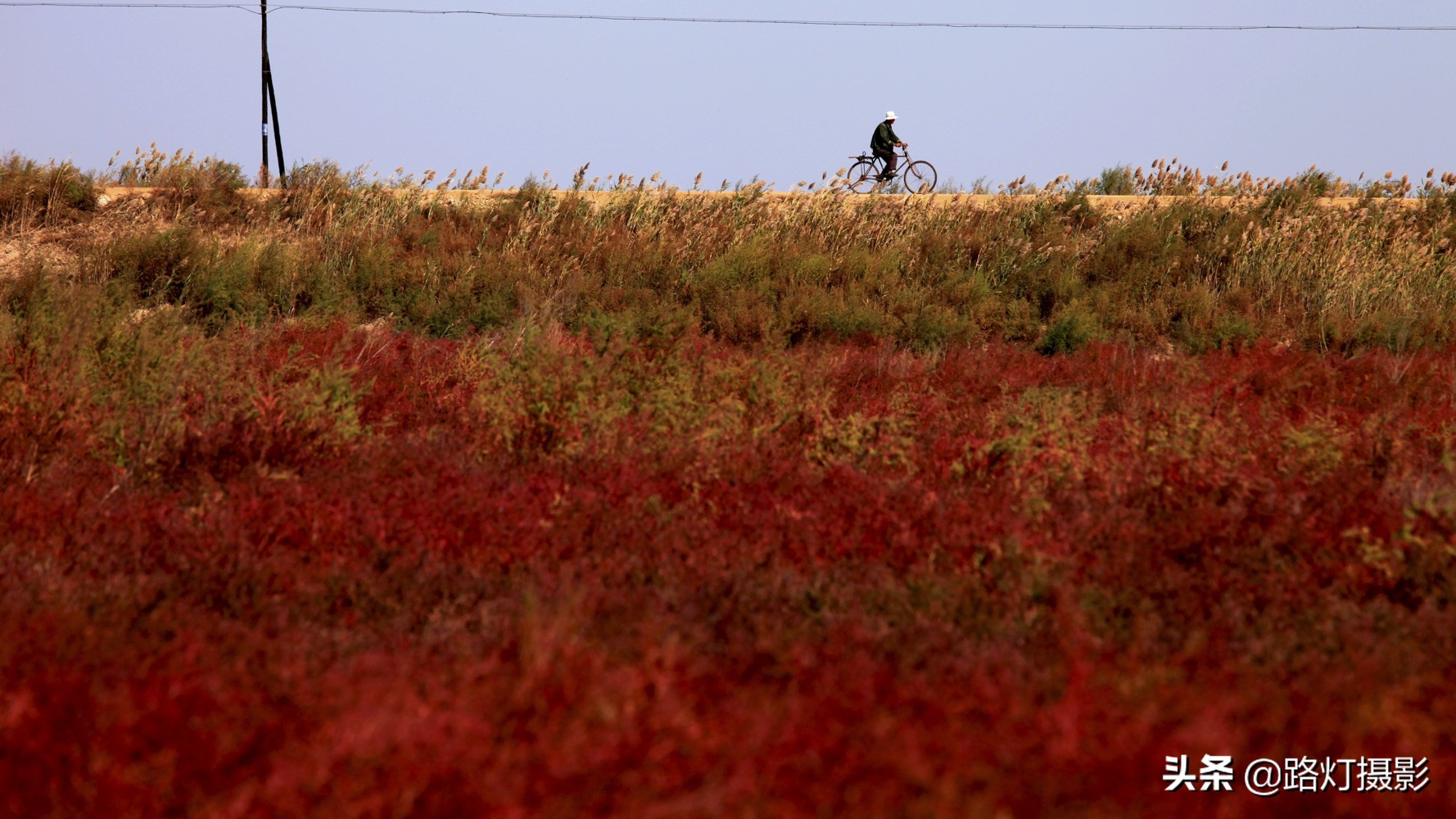 山东半岛最后一片黄金海岸，金沙银滩，海鸥翩舞，真正的世外桃源