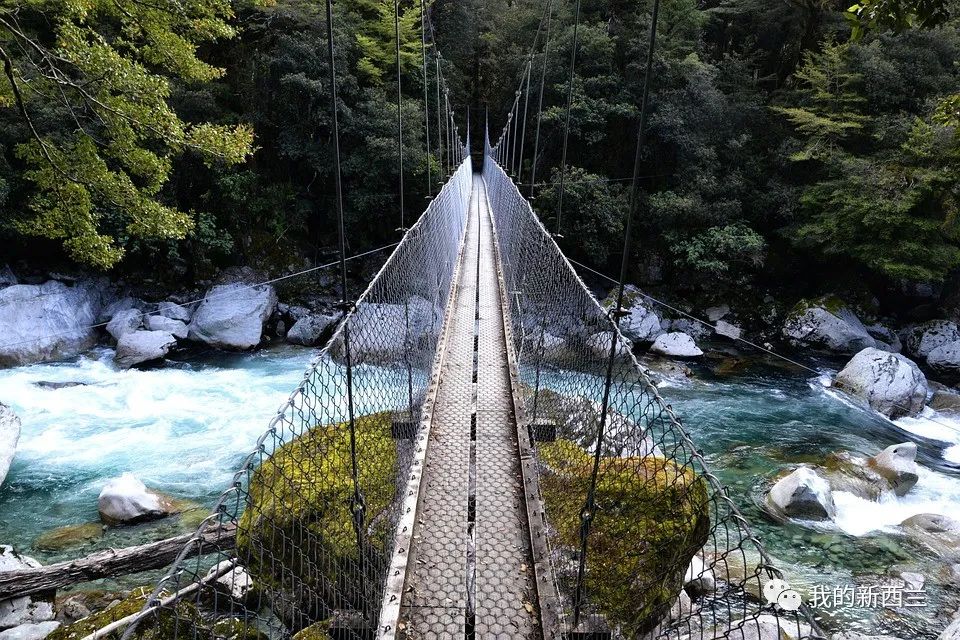 疫情下的锻炼说说短句,疫情下的新西兰感言