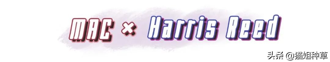 动森要出新作,动森联名