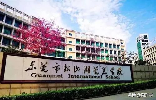 东莞市排名前十的民办中学,东莞中考民办招生分数最高学校