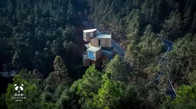 真正的森林树屋,这些树屋满足你对森林的所有幻想