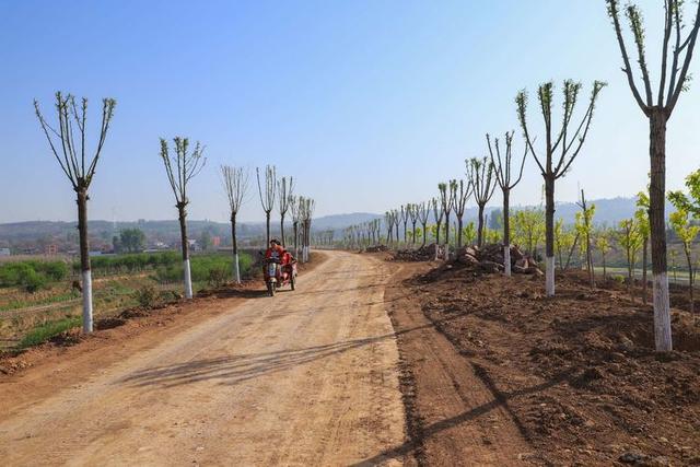 浠ユ按娑﹀煄,娑﹀煄娌抽亾娌荤悊宸ョ▼