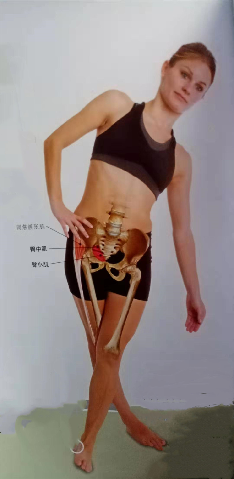 每天久坐不动用电脑，玩游戏腰酸背痛？教你几个简单动作迅速缓解