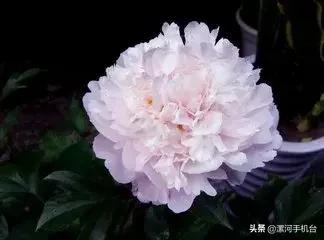 漯河美丽的沙澧河,美丽的漯河沙澧河风景区