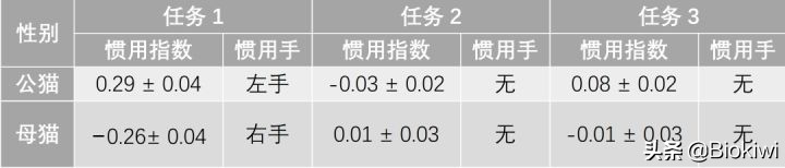 招财猫是是左撇子还是右撇子？