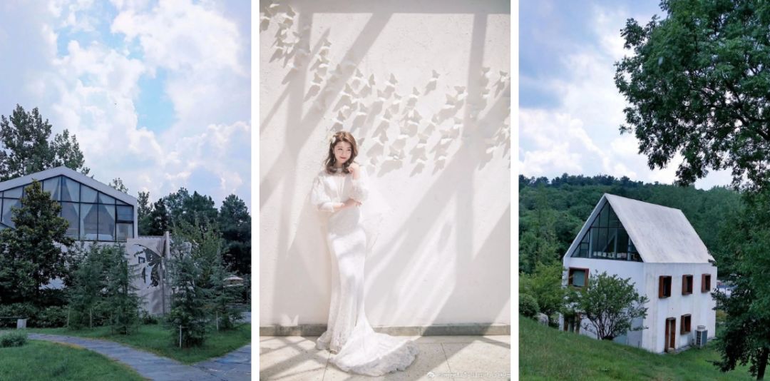 疫情防控取得阶段性胜利有序恢复,疫情胜利在望