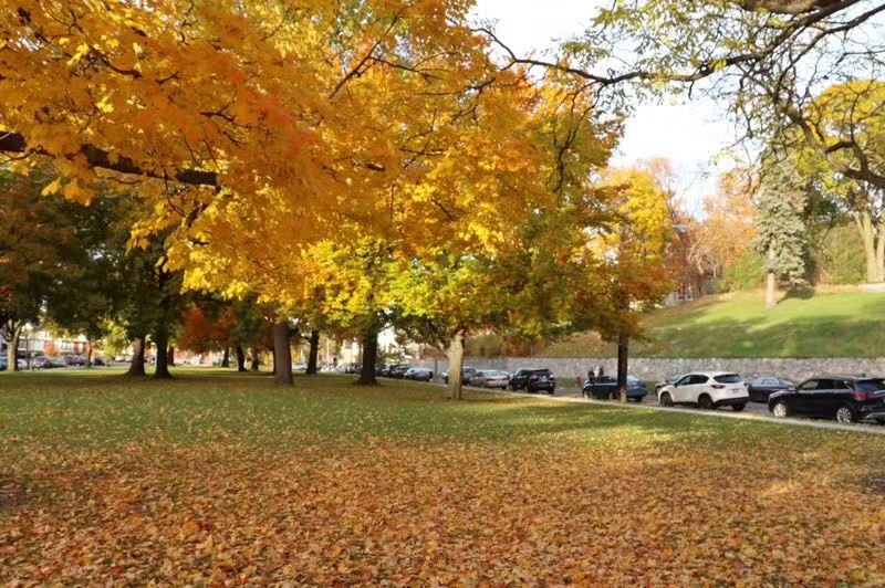 德克萨斯大学奥斯汀分校是一所怎样的大学?