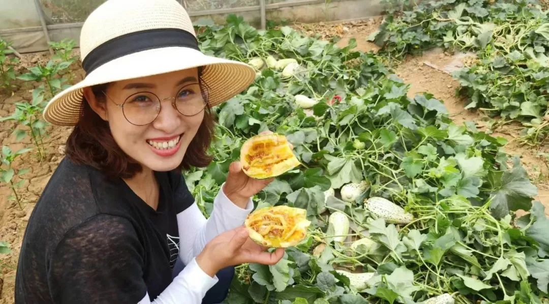 110万人看她在城市里种西红柿，大家说认真过日子的人最美