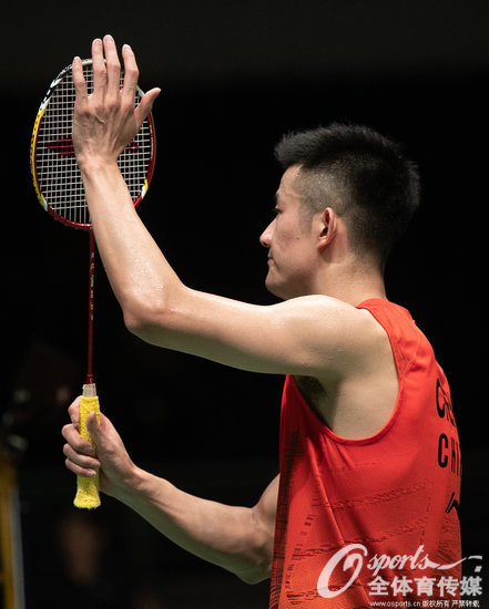 男单世界前10御用球拍,谌龙历代球拍