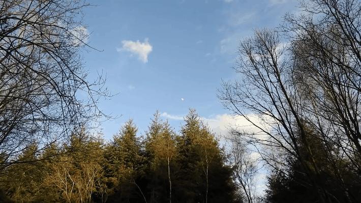 光学变焦混合变焦数字变焦的区别,数码变焦与光学变焦的区别