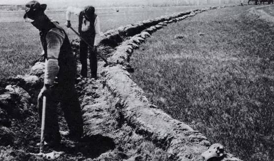 水肥一体化滴灌简易制作,农田滴灌制作全过程