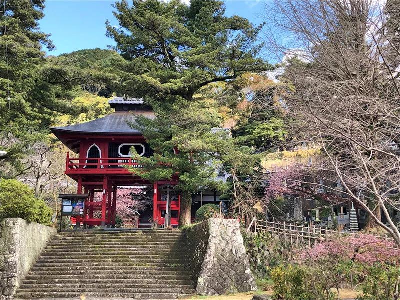 日本买口罩的经历,现在去日本买口罩靠谱吗