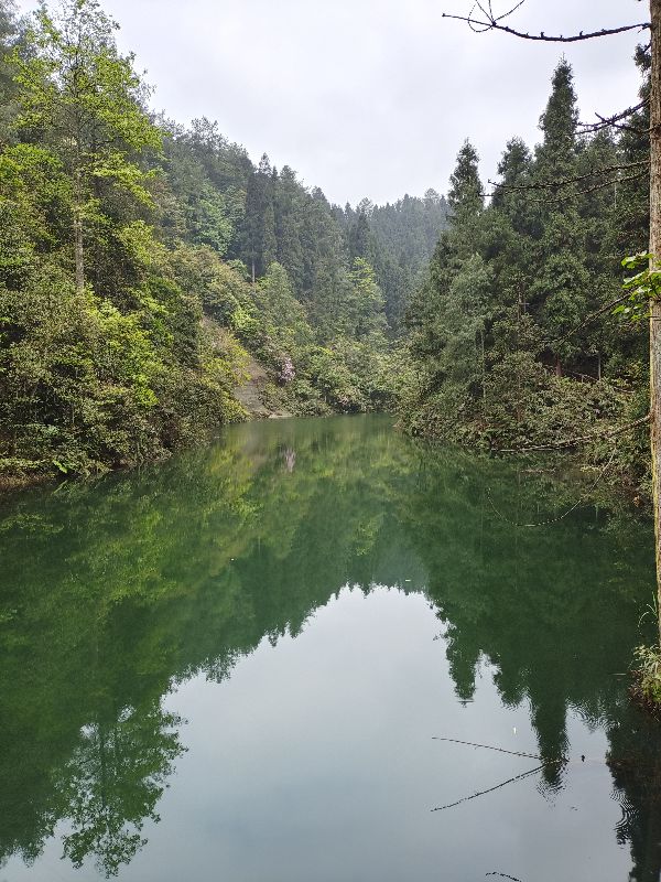 大型氧吧机,森林公园吸氧