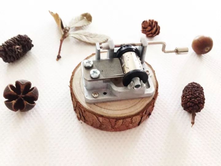 她31岁放弃北漂高薪，回归森林“捡垃圾”，用树叶打造出人间仙境