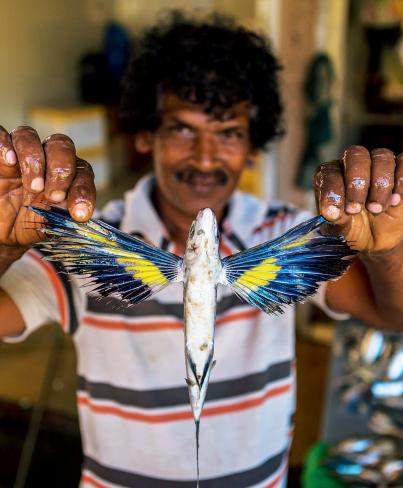 鍝楸艰兘鍦ㄦ捣闈笂婊戠繑,鑳藉湪娴烽潰涓婃粦缈旂殑鏄粈涔堥奔