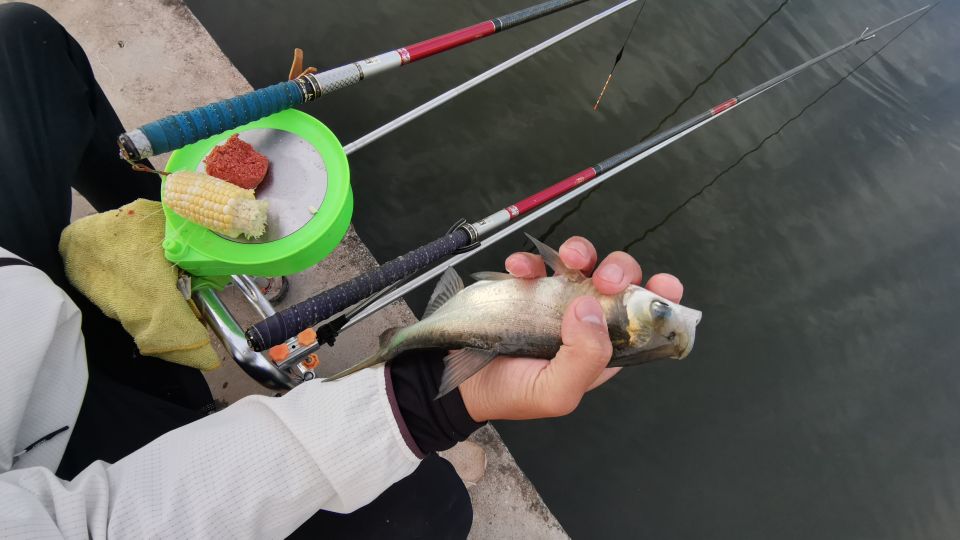 昆明周边钓青鱼的水库,昆明附近不收费的野钓塘