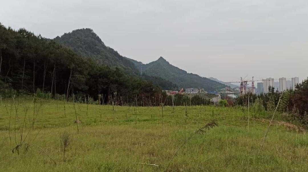 劲爆！重庆核心区惊现150万地铁商圈别墅，居然比高层还便宜？