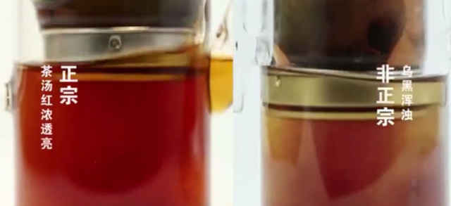 如何分辨青柑普洱的真假,大红柑普茶怎么分辨好坏