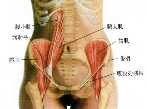 肾虚腰疼怎么锻炼最快,肾虚腰酸背痛练哪个动作