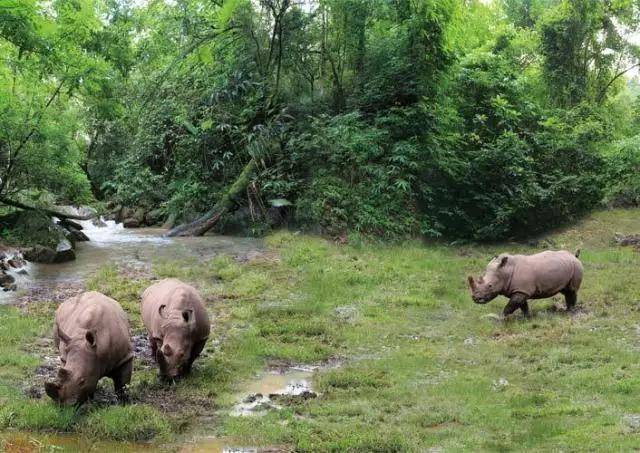 1月带娃云南小众旅游,云南小众旅游2日游