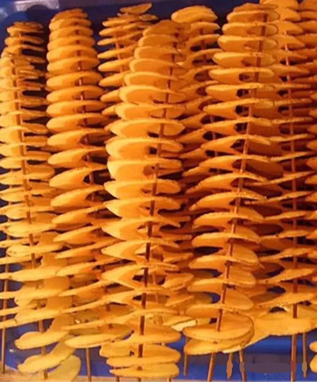 亚龙湾国际玫瑰谷灯光节,三亚亚龙湾跨年夜