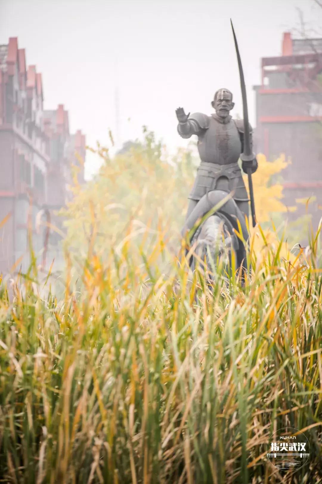 我在汤逊湖畔的华农楚天学院，剪一段复古的小时光