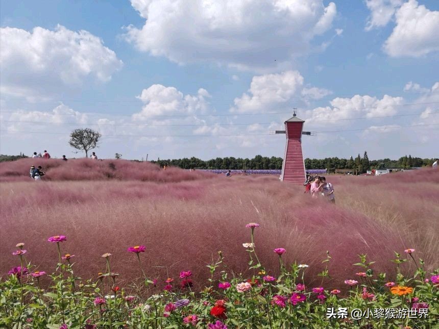 十一国庆苏州景区免费开放,苏州旅游最值得去的十个免费景区